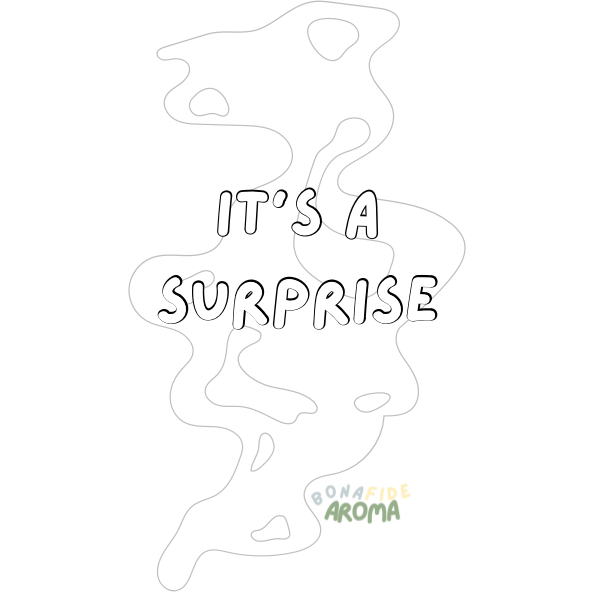 It’s a Surprise !